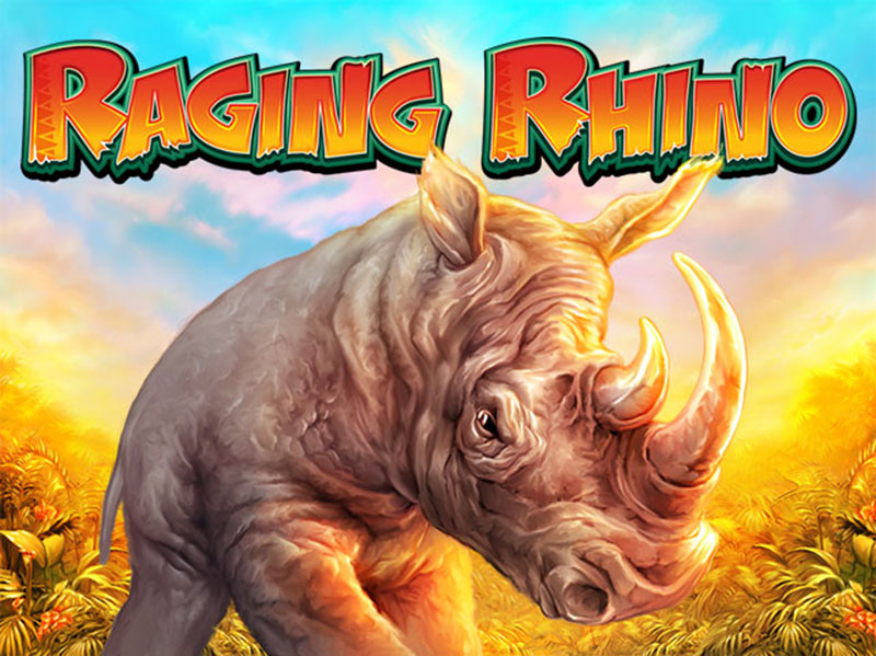 raging rhino rampage wow clan stormwind
