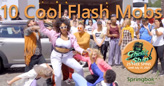 Springbok Casino Sharing Cool Flash Mob Videos