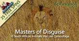 South African Online Casino Salutes African Animals That Are Masters of Disguise
