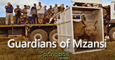 Springbok Casino Unveils “Guardians of Mzansi” Feature to Raise Awareness of South Africa’s Endangered Wildlife
