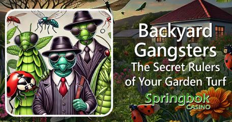 Springbok Casino’s Wild November Feature ‘Backyard Gangsters’ Offers 25 Free Spins on new Clue Chronicles: Mirror Mansion slot