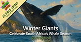 Salute South Africa’s Whale Season with 25 Free Spins on ‘The Cash is Right’ Slot at Springbok Casino