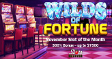 Betsoft’s New Wilds of Fortune is the Slot of the Month at Slots Capital