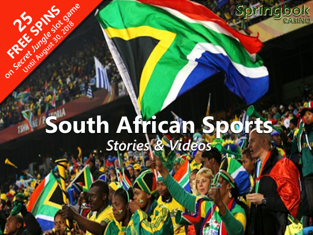 Springbok Celebrates South African Sports